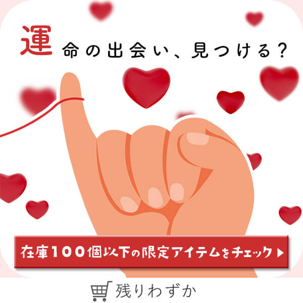 エンドインフォ在庫限り